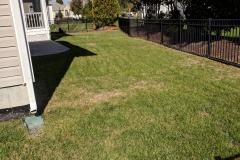 Aluminum fence