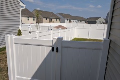 Privacy fence