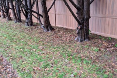 vinyl privacy fence