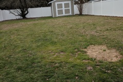 vinyl privacy fence