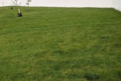 vinyl privacy fence