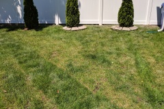 vinyl privacy fence