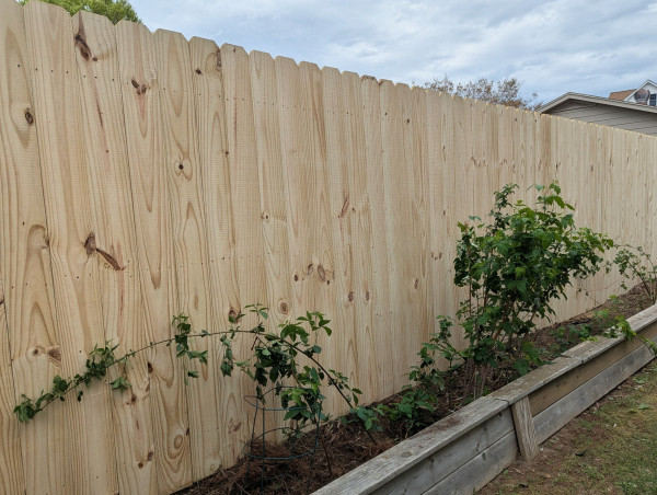 TREATED-WOOD-FENCE