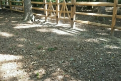 Wood-Split-Rail-Fencing-and-Gates